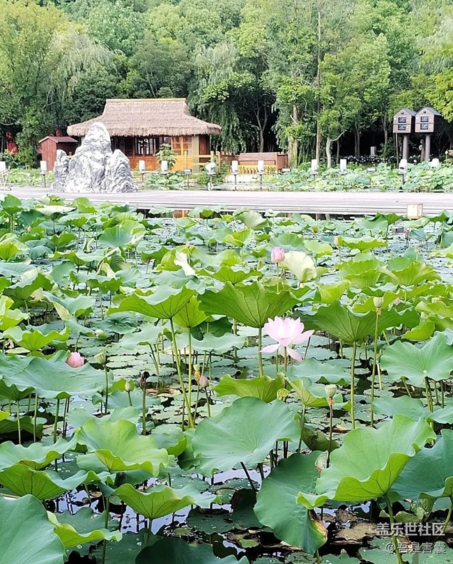 【小眾旅行地】西施故里