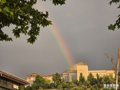【多巴胺的夏天】+彩色夏日