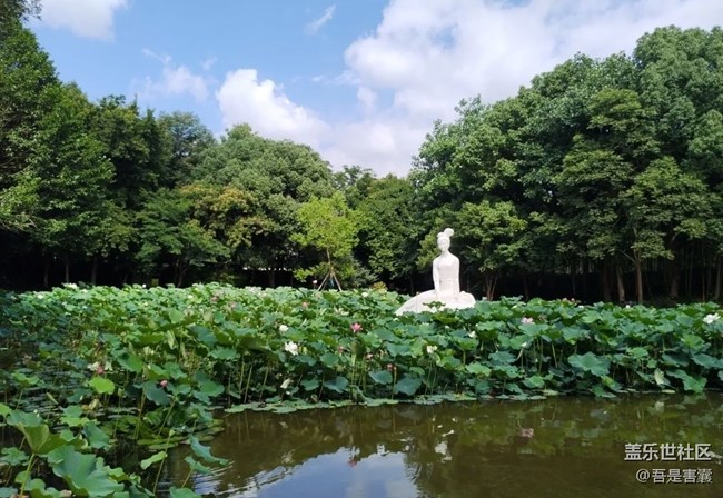 【小眾旅行地】西施故里