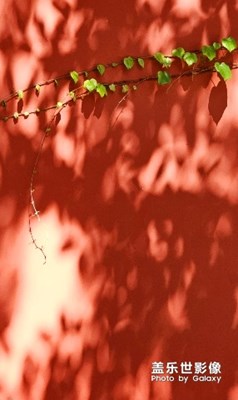 身邊的形形色色