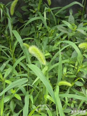 s24+拍照還是比較喜歡，