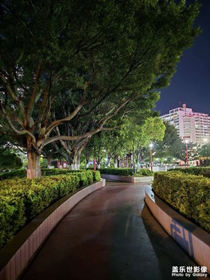 【多巴胺的夏天】我愛(ài)夏天