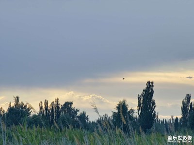 很希望得到你們的認(rèn)可????