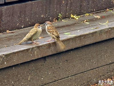 【 七月風(fēng)光 】七月拍了拍