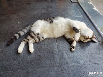 【七月風(fēng)光】+七月是一副多彩的畫卷