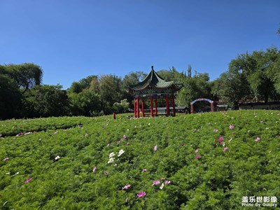 【多巴胺的夏天】+ 風和日麗逛公園