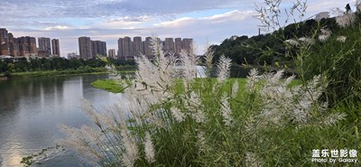 【七月風(fēng)光】+七月七日晴