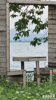 【多巴胺的夏天】+ 多彩的夏日