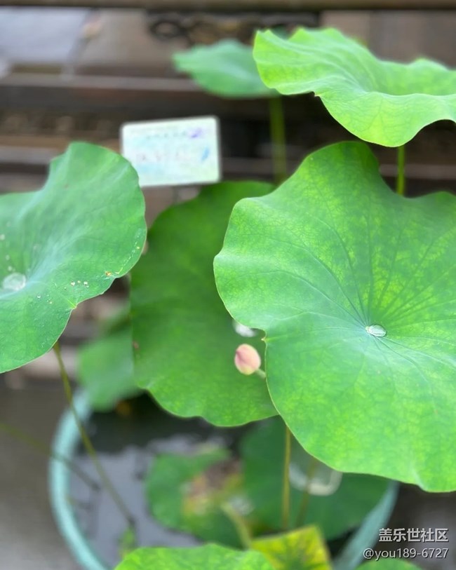 【小眾旅行地】錢王祠