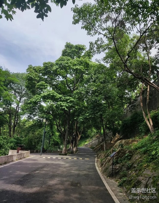 【小眾旅行地】龜山公園