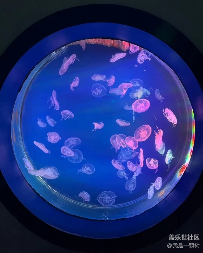 【當(dāng)三星遇到海洋館】+AI讓快樂(lè)更簡(jiǎn)單