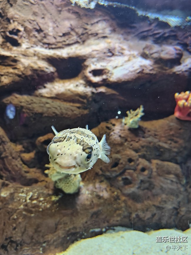 【當三星遇到海洋館】探索水下世界