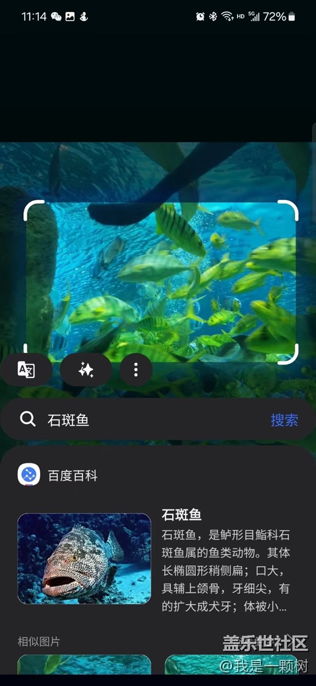 【當(dāng)三星遇到海洋館】+AI讓快樂(lè)更簡(jiǎn)單