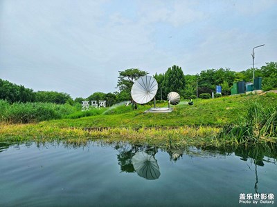【多巴胺的夏天】+河畔夏日夢