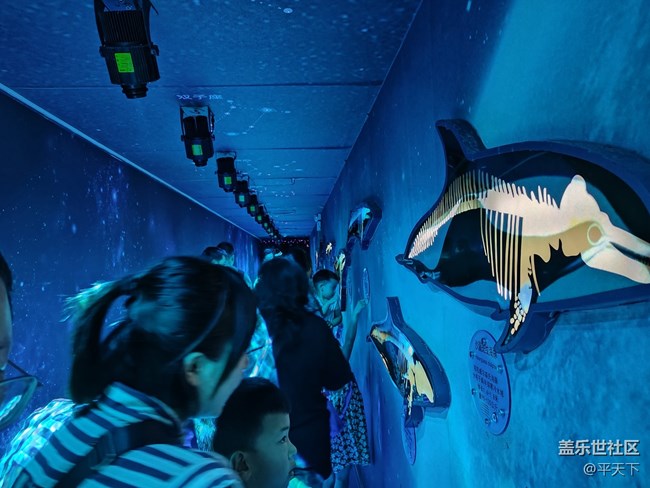 【當三星遇到海洋館】探索水下世界