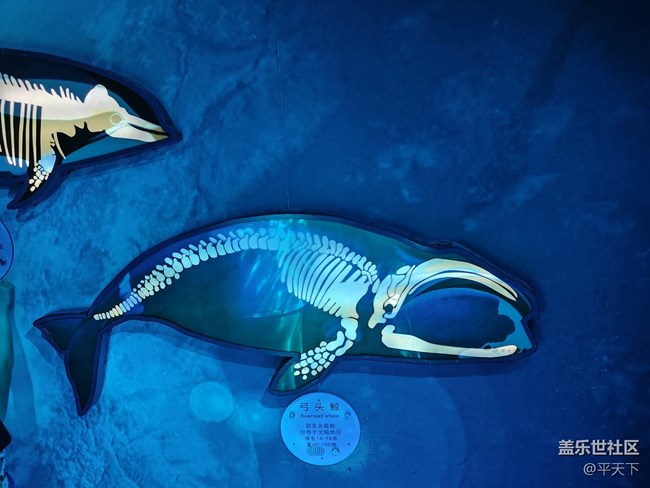 【當三星遇到海洋館】探索水下世界