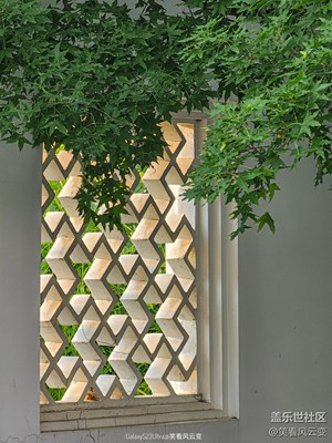 已開獎【蓋樂世影像周賽第352期】—— 夏日麗影