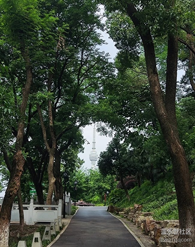 【小眾旅行地】龜山公園