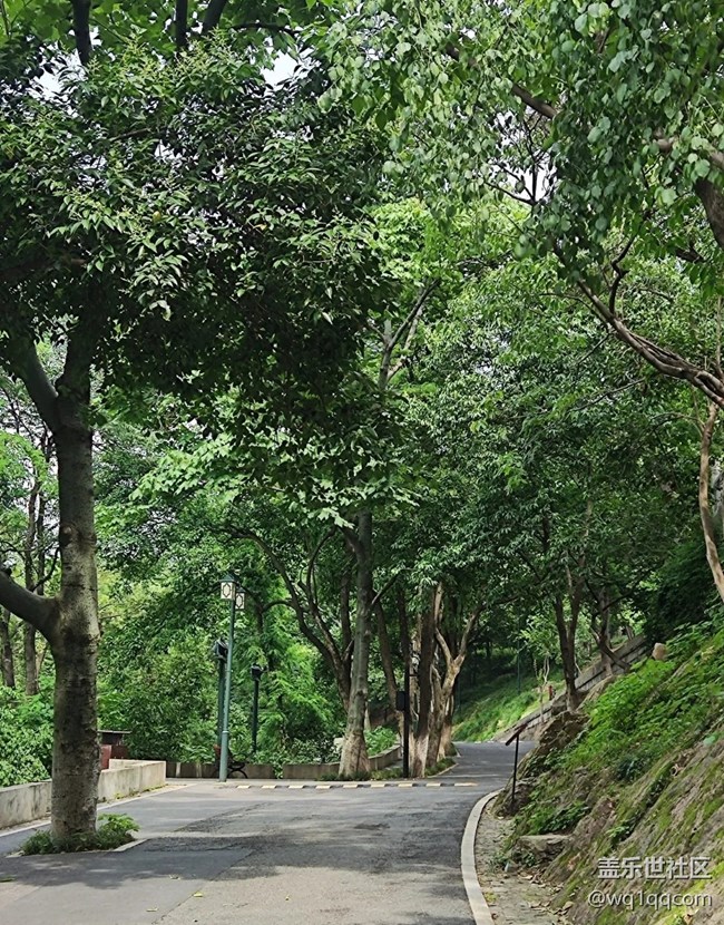 【小眾旅行地】龜山公園