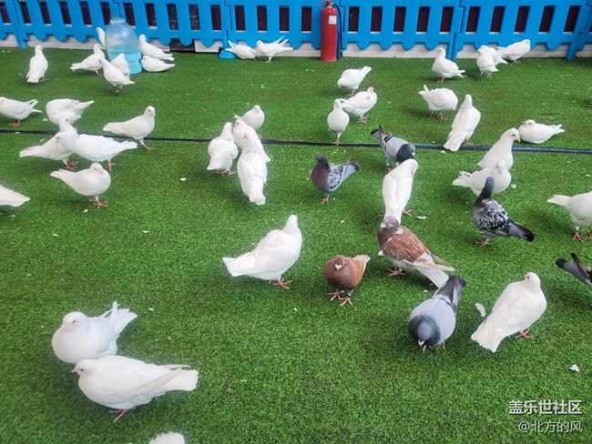 【當(dāng)三星遇到海洋館】+手機(jī)AI來了