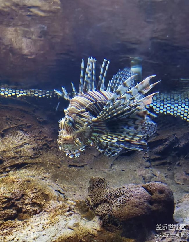 【當(dāng)三星遇到海洋館】+AI讓快樂(lè)更簡(jiǎn)單