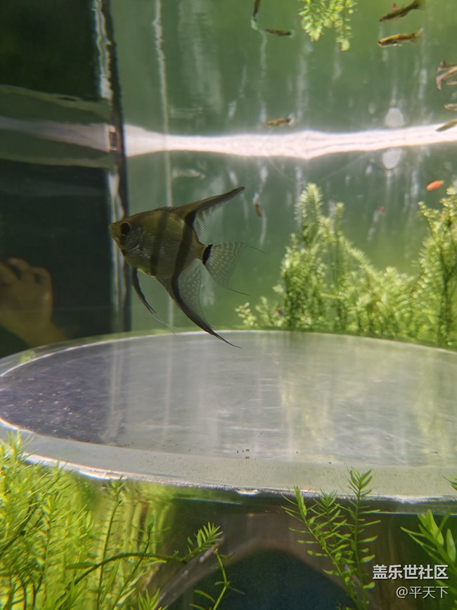 【當三星遇到海洋館】探索水下世界