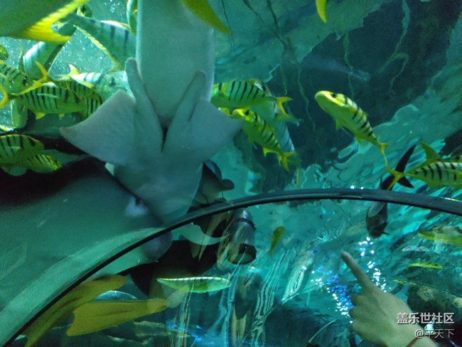 【當三星遇到海洋館】探索水下世界