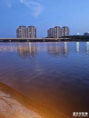 【多巴胺的夏天】水邊的燈光