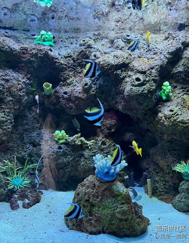 【當(dāng)三星遇到海洋館】+AI讓快樂(lè)更簡(jiǎn)單