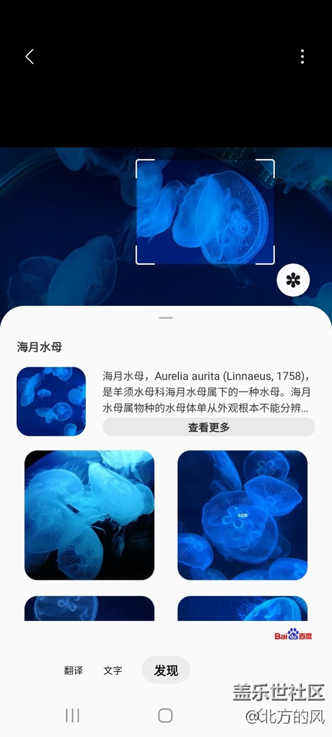 【當(dāng)三星遇到海洋館】+手機(jī)AI來了