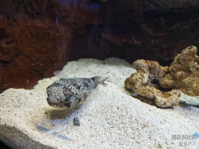 【當三星遇到海洋館】探索水下世界