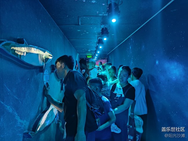 【當(dāng)三星遇到海洋館】+輕松識別各種魚類