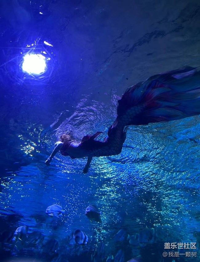 【當(dāng)三星遇到海洋館】+AI讓快樂(lè)更簡(jiǎn)單