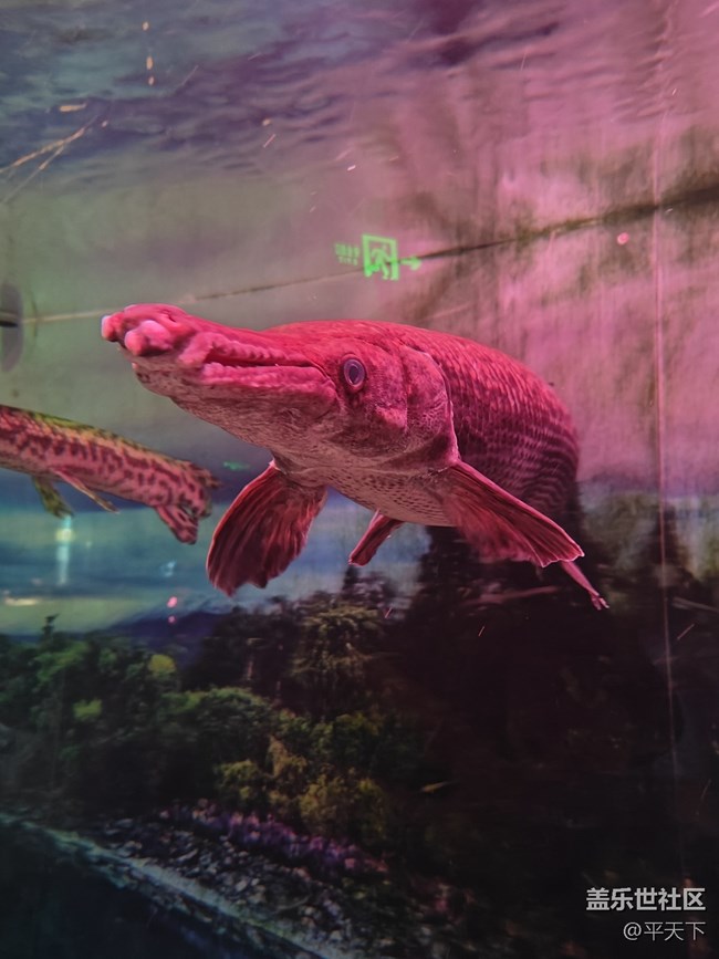 【當三星遇到海洋館】探索水下世界