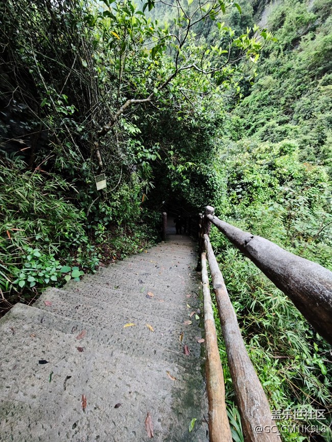 【夏天的綠色】雨天登山