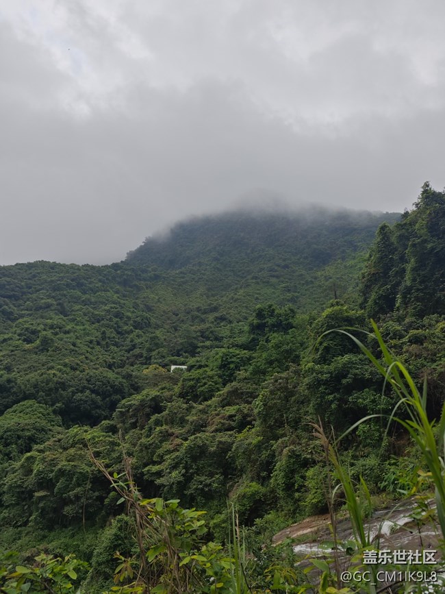 【夏天的綠色】雨天登山