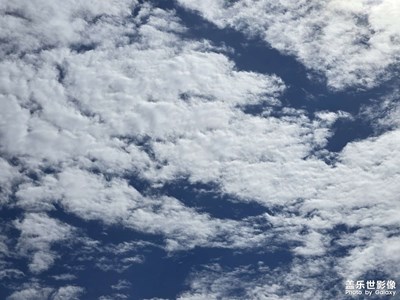 【多巴胺的夏天】期待每一個(gè)夏天