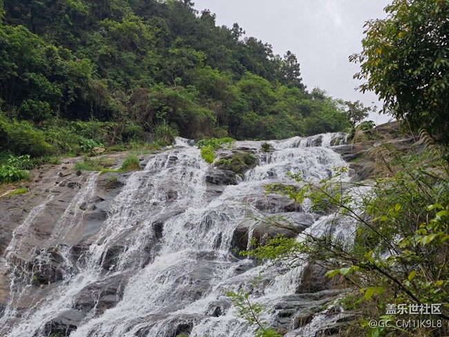 【夏天的綠色】雨天登山