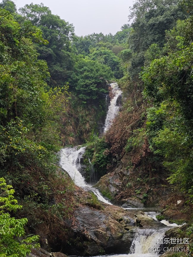 【夏天的綠色】雨天登山