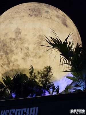 【七月風光】夜晚與酒