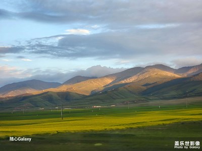 【七月風光】青海湖