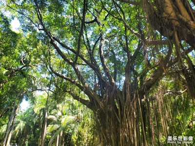 【七月風光】公園風景