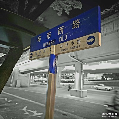 【夏日麗影】+夏日路燈下的路牌