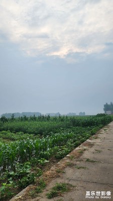 【七月風(fēng)光】雨后夏景