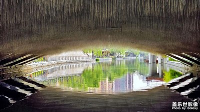 【七月風(fēng)光】+湖畔小景