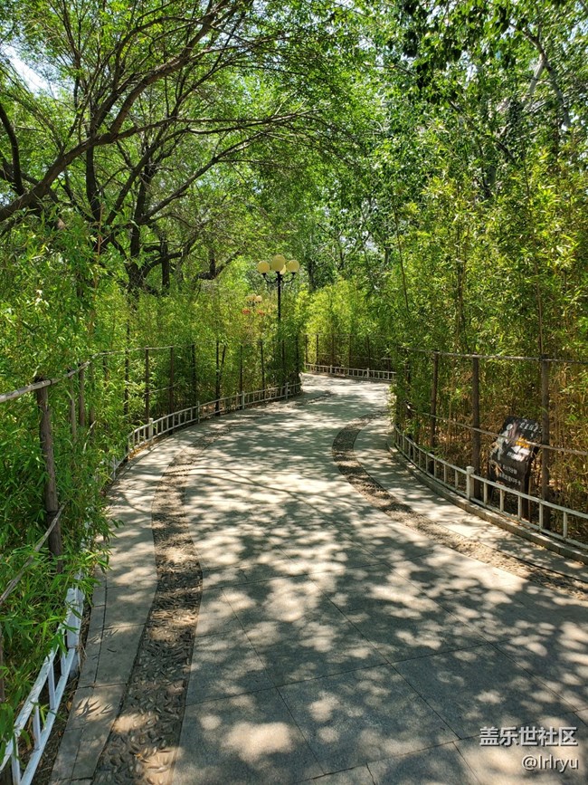 【夏日旅行】+晴天漫步