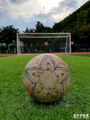 【七月風(fēng)光】萬(wàn)物萬(wàn)景