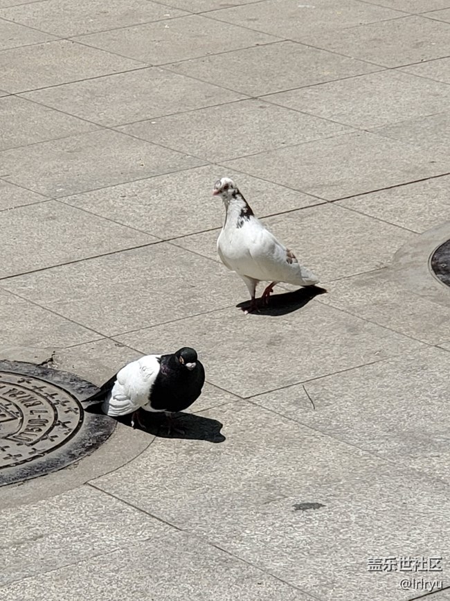 【夏日旅行】+晴天漫步