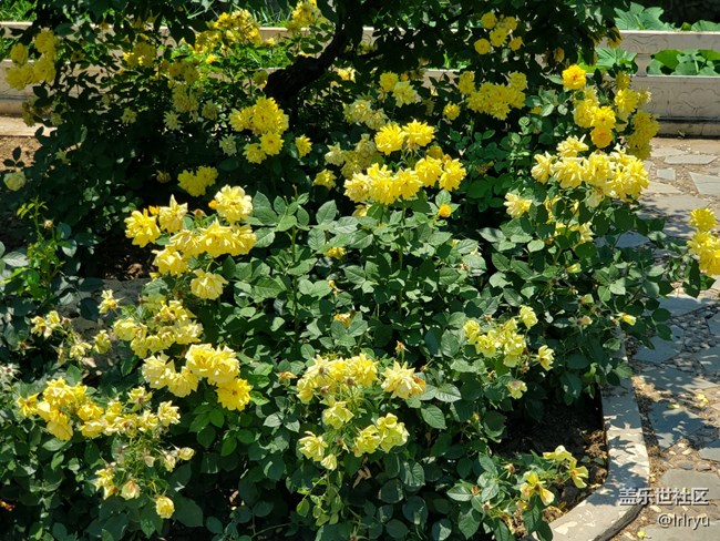 【夏日旅行】+晴天漫步