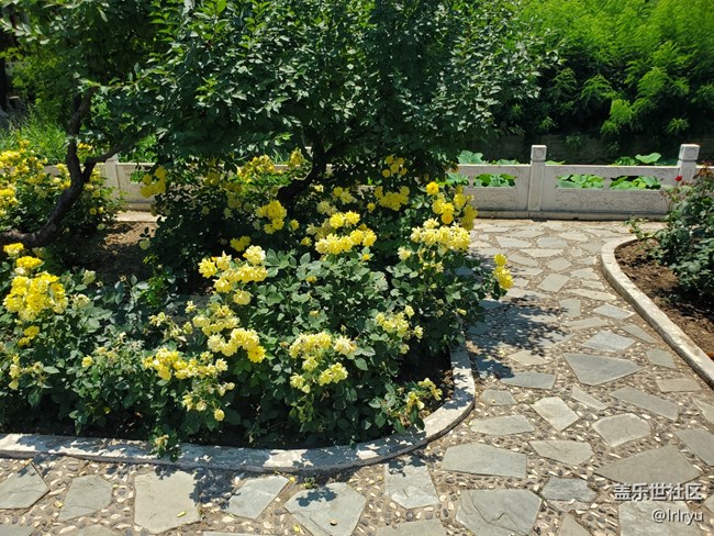 【夏日旅行】+晴天漫步